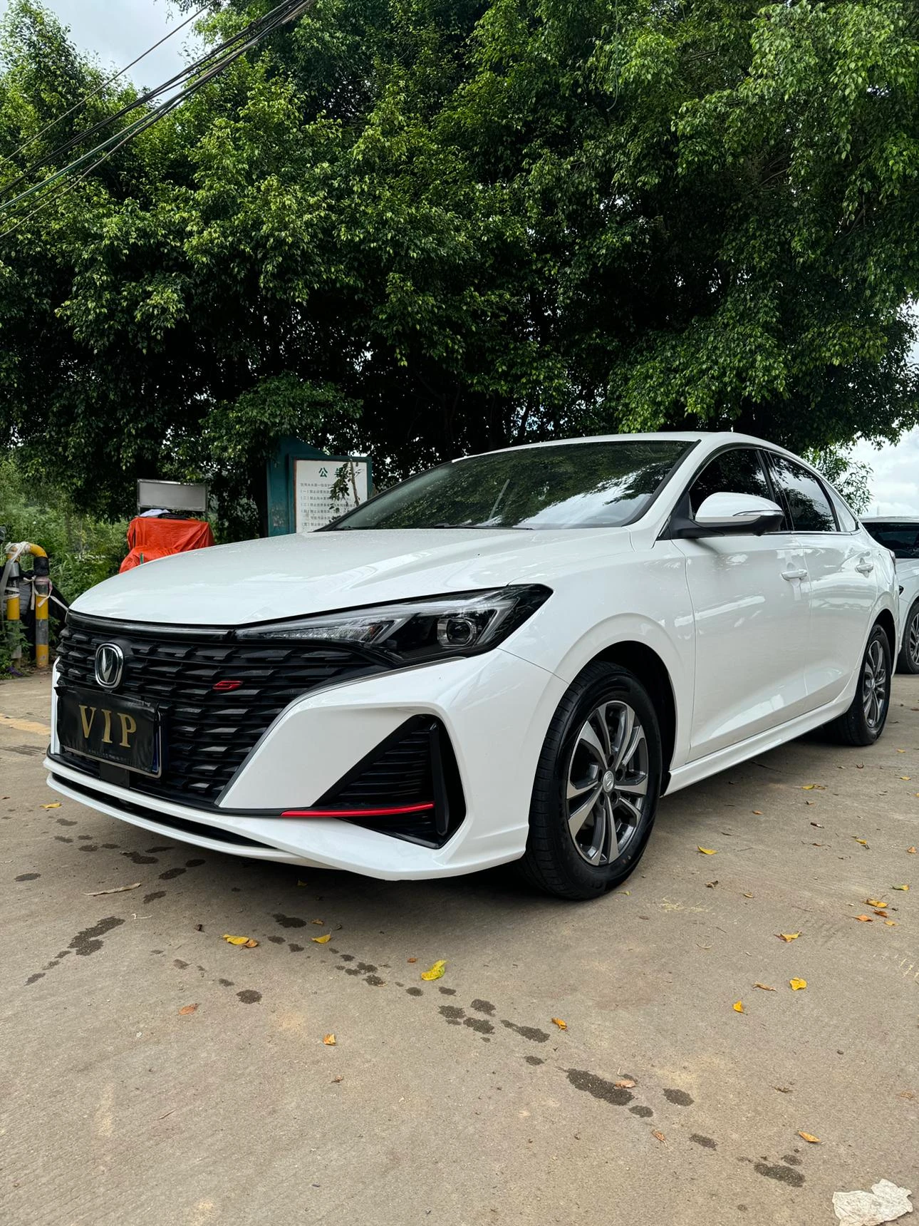 Changan Eado PLUS 1.4T DCT (High Performance Trim)