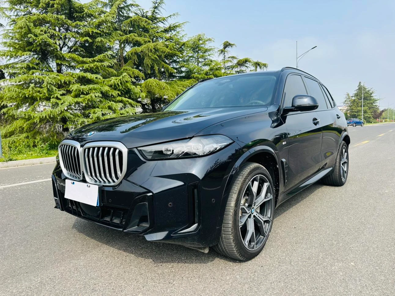 BMW X5 xDrive30Li Luxury M Sport Night Package