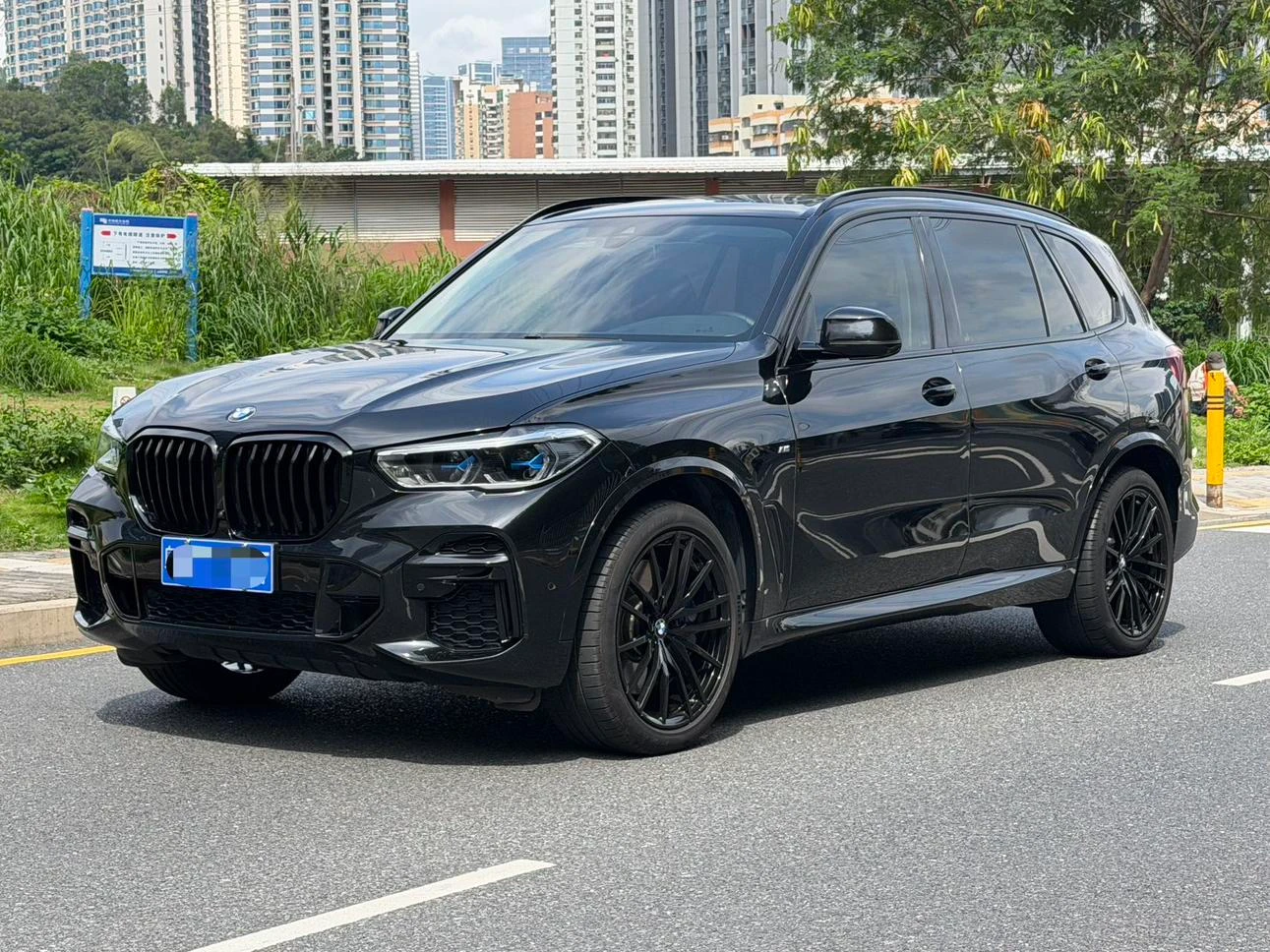 BMW X5 xDrive 30Li M Sport