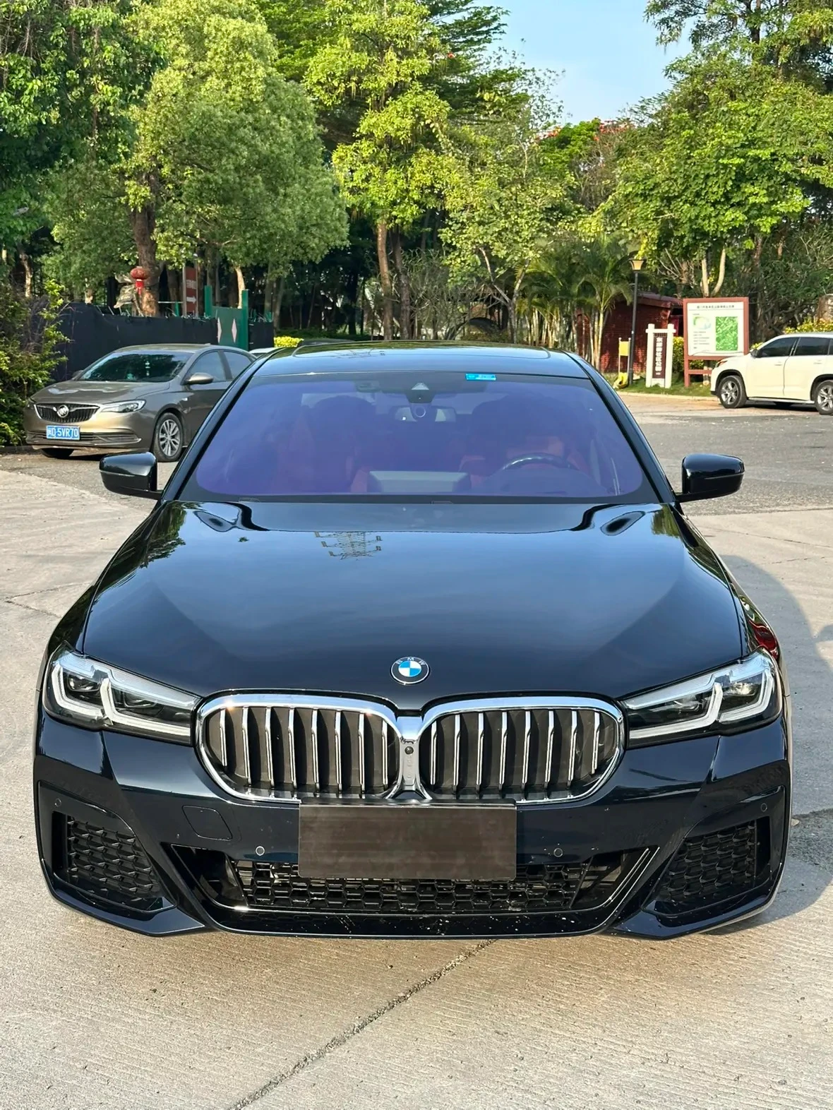 BMW 5 Series 530Li Luxury - exterior