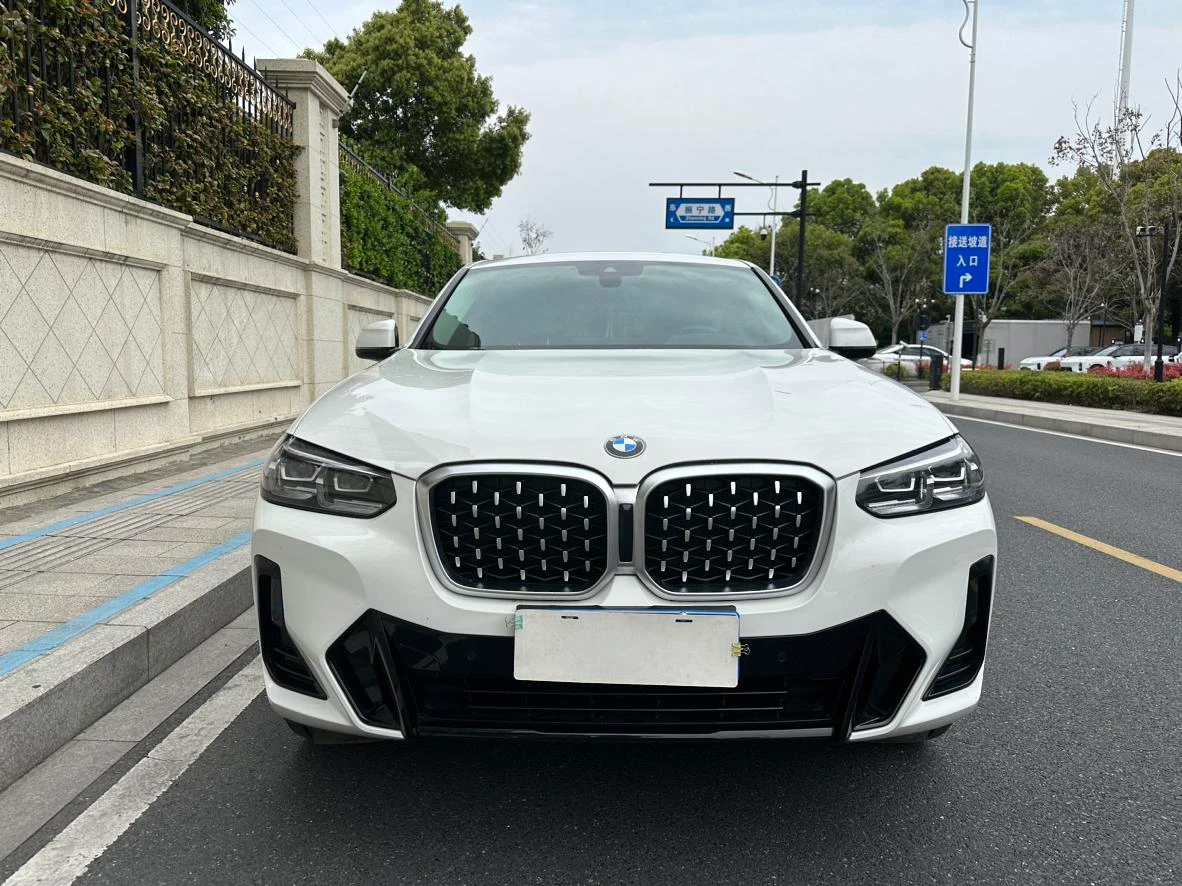 BMW X4 xDrive 25i M Sport Package - exterior