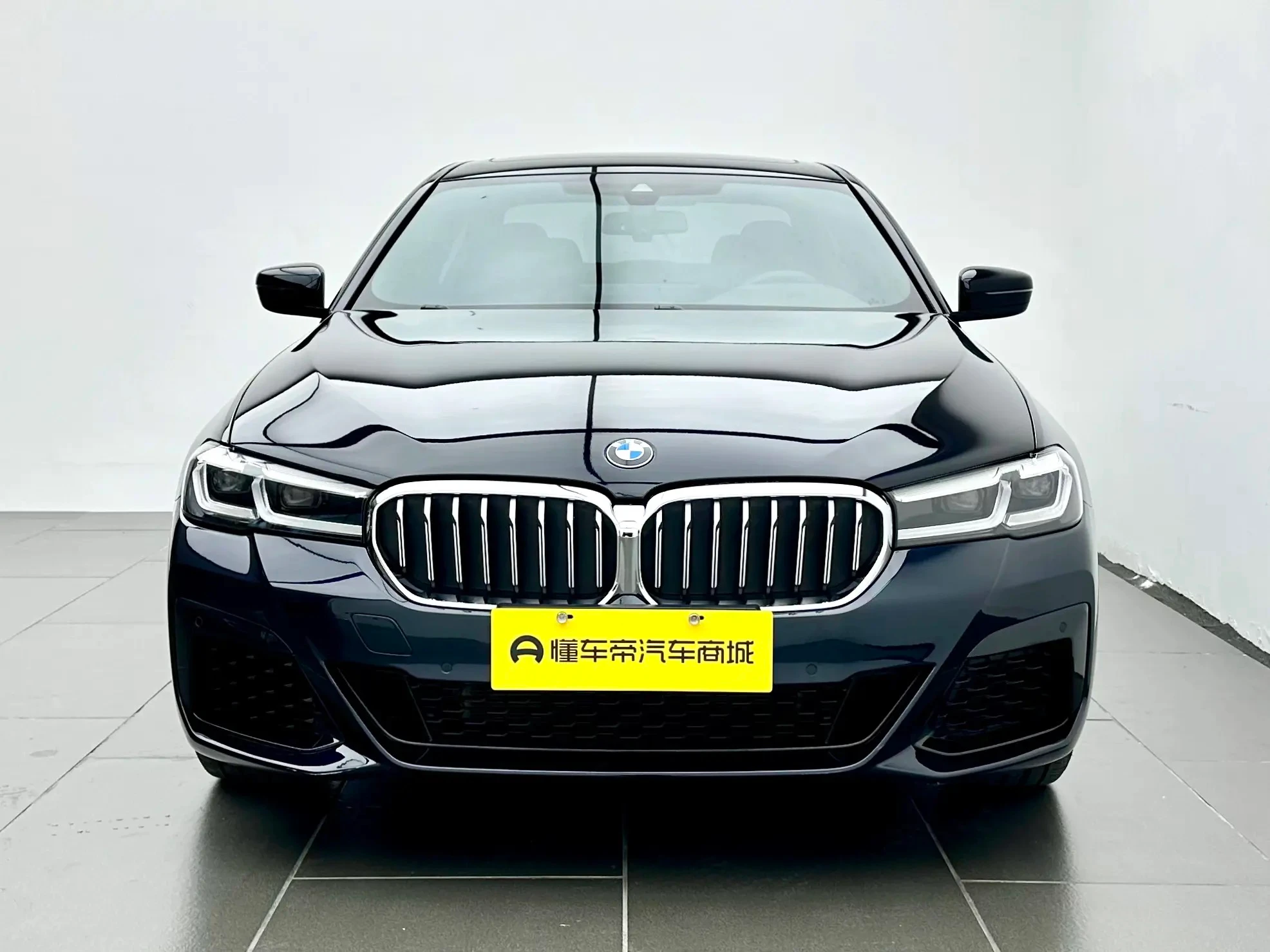 BMW 5 Series 530Li Leading Edition - exterior
