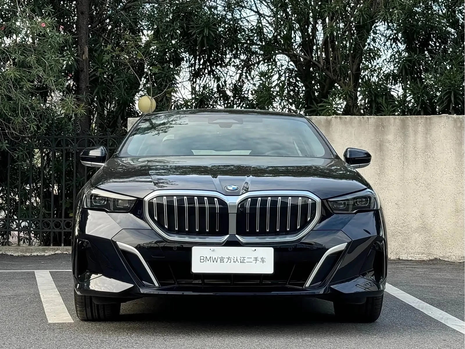 BMW 5 Series 530Li Luxury - exterior