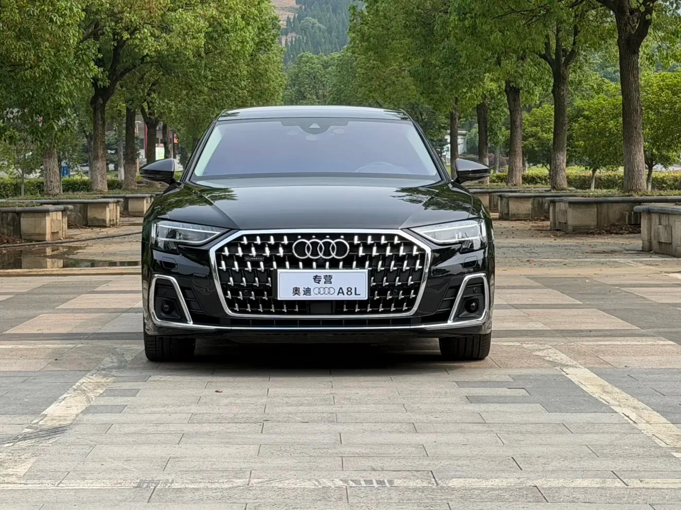 Audi A8L 50 TFSI Premium Selection Trim - exterior