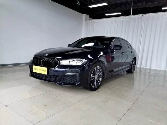 BMW 5 Series 530Li Leading Edition
