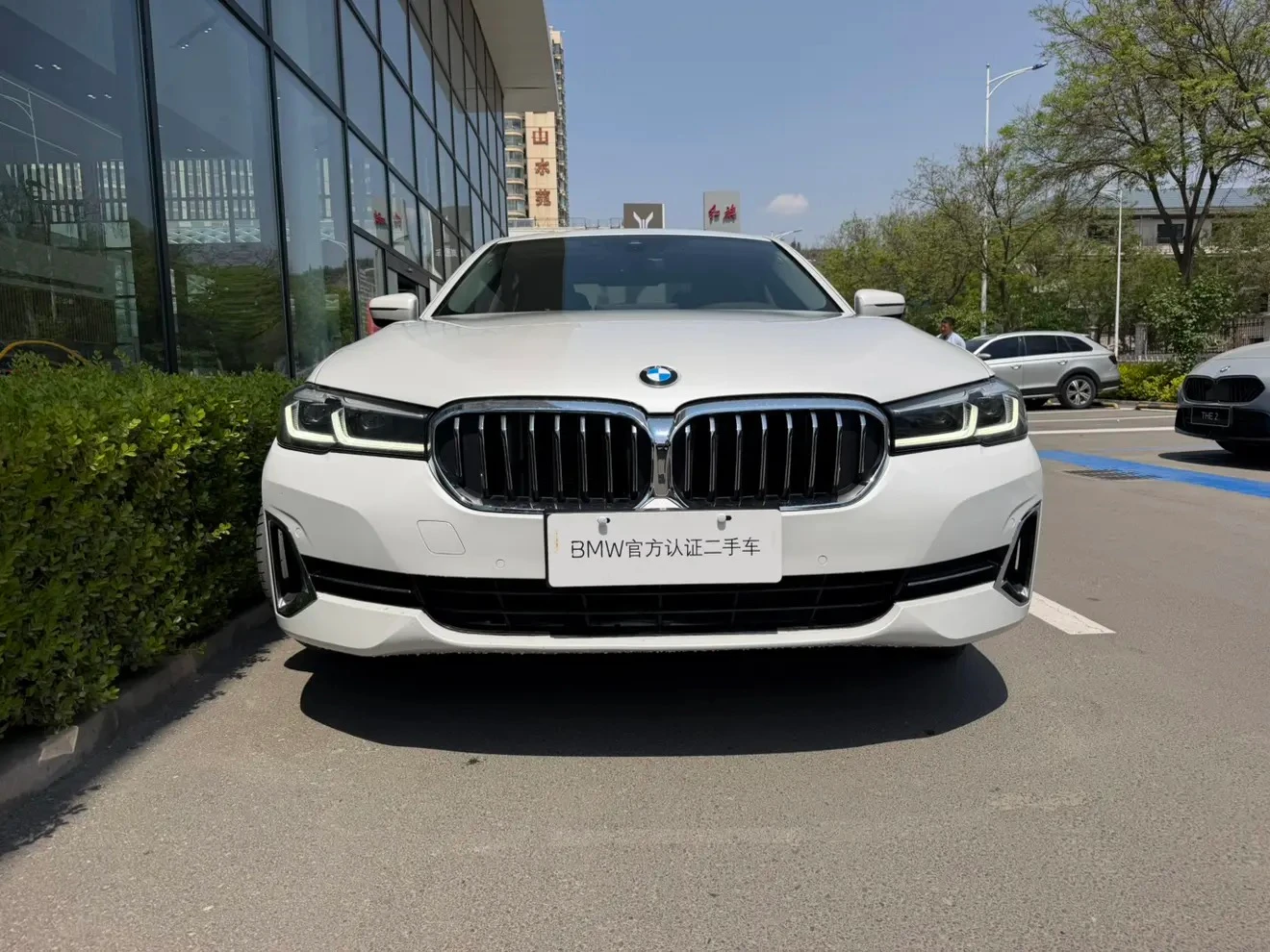 BMW 5 Series 525Li Luxury - exterior