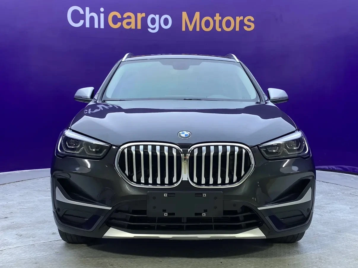 BMW X5 xDrive 20Li Exclusive Edition - exterior