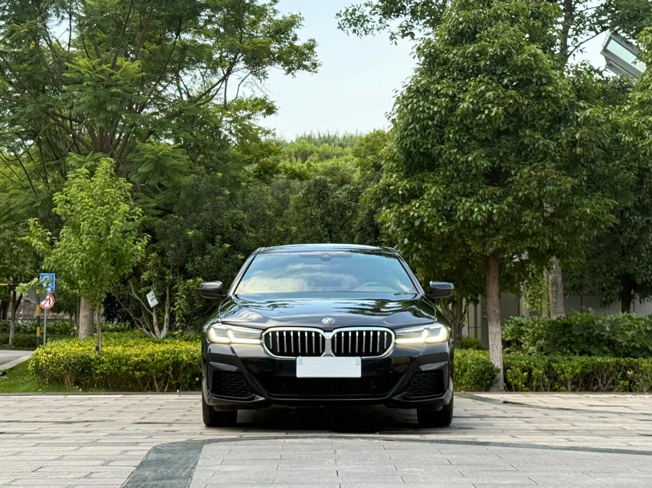 BMW 5 Series 530Li Leading M Sport Package