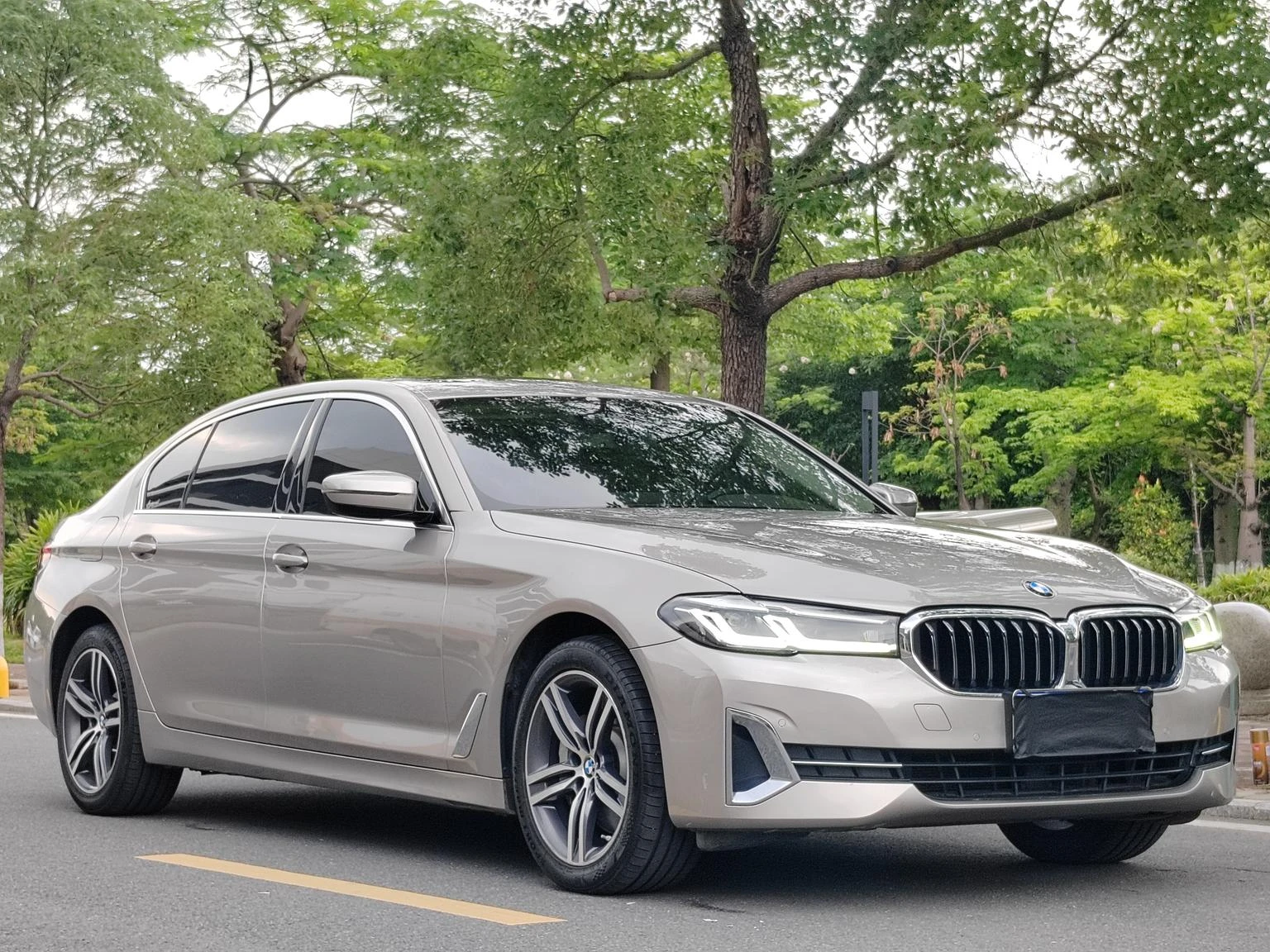 BMW 5 Series 530Li Leading Luxury Package