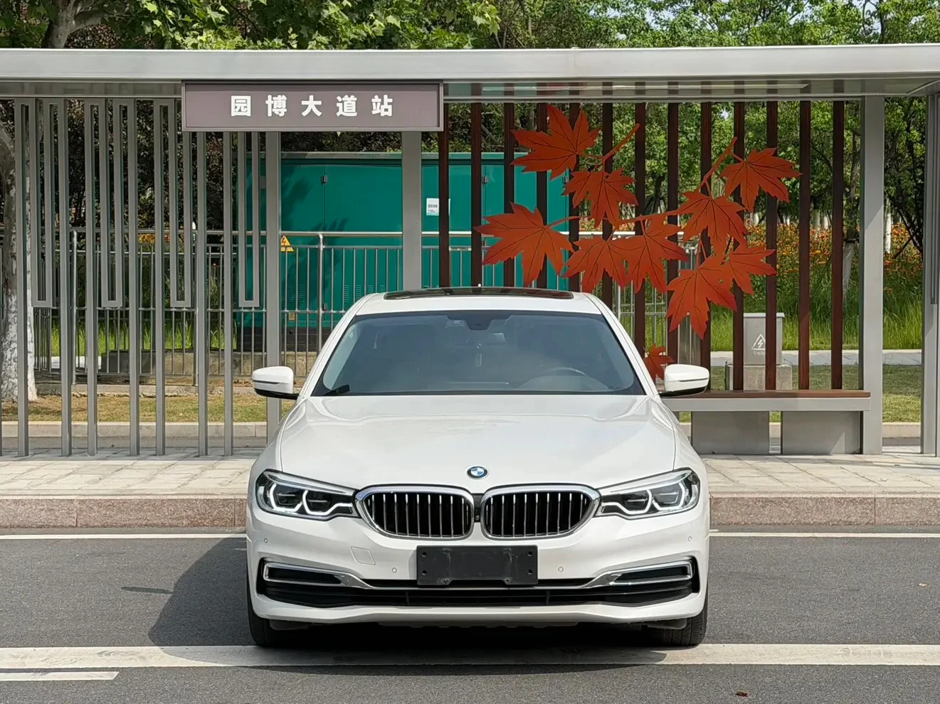 BMW 5 Series 530Li Luxury - exterior
